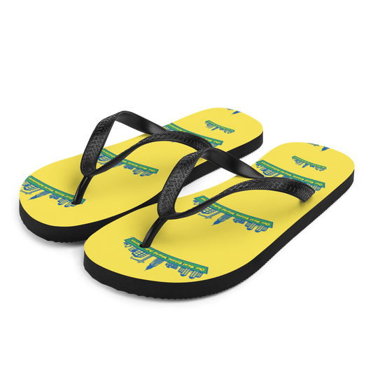 Flip-Flops