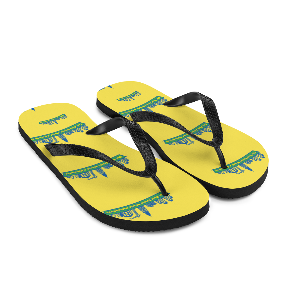 Flip-Flops